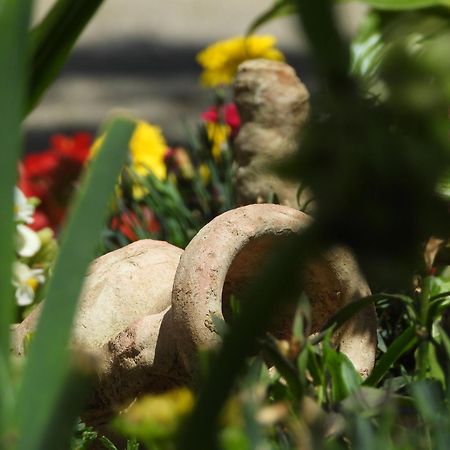 Zimski San Ravna Gora Zewnętrze zdjęcie